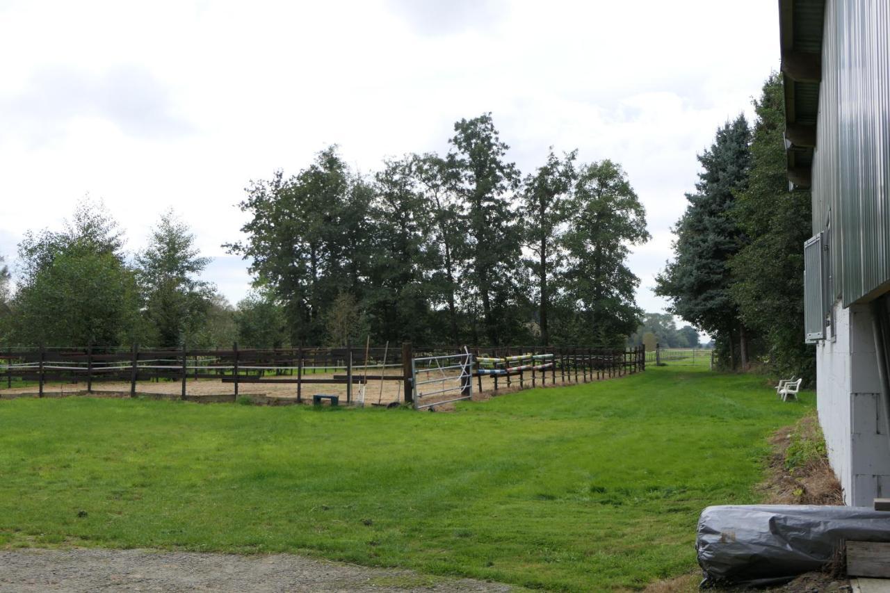 Ferienwohnung Weideglueck Osten Buitenkant foto