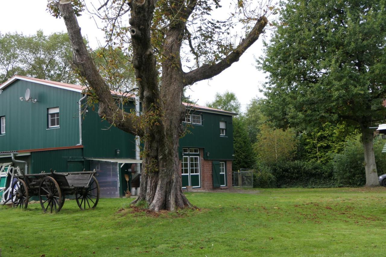 Ferienwohnung Weideglueck Osten Buitenkant foto