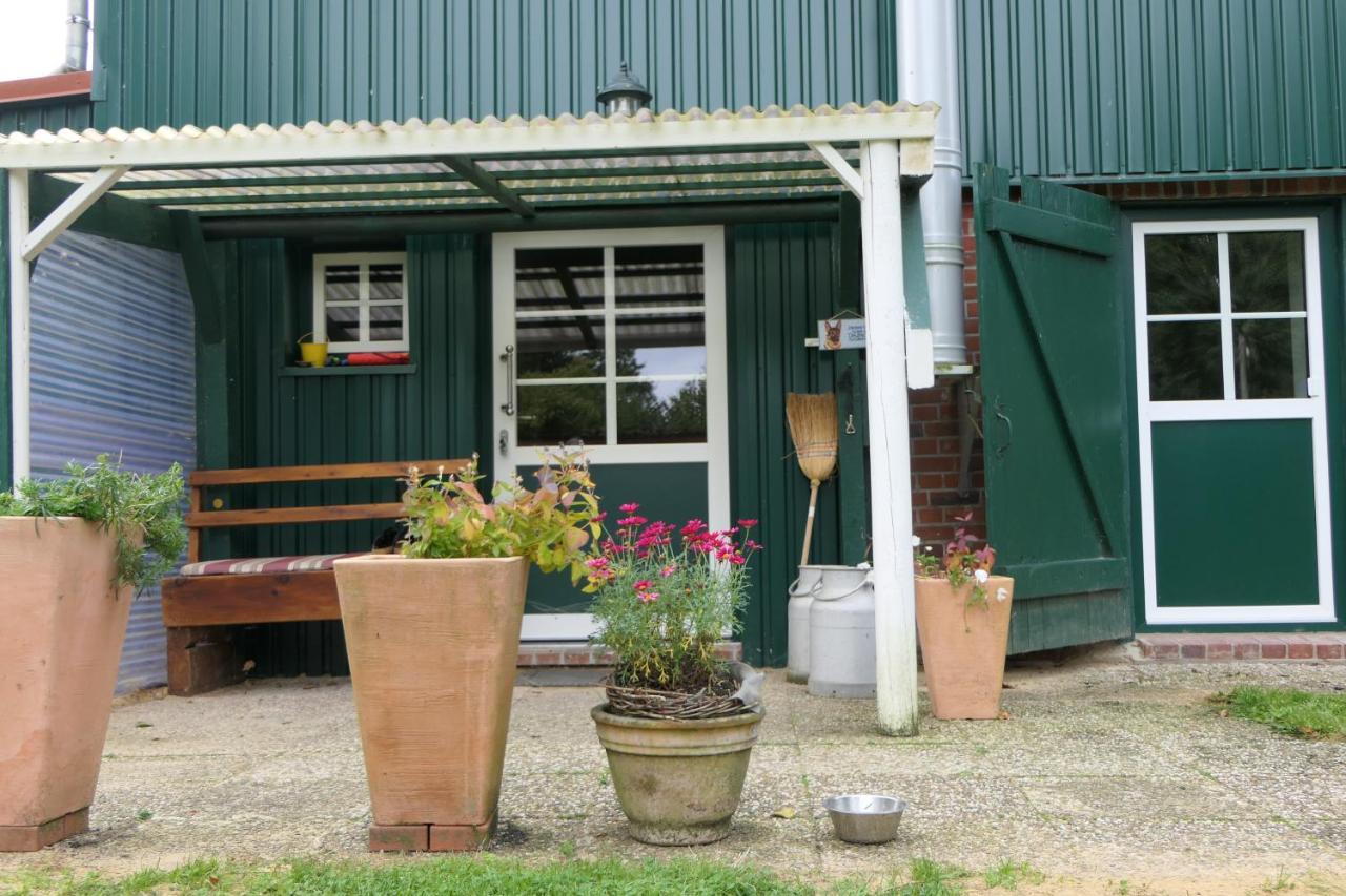 Ferienwohnung Weideglueck Osten Buitenkant foto